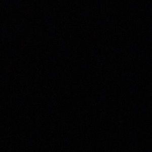 Meet your Posher, Daisy